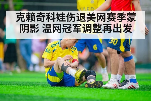 克赖奇科娃伤退美网赛季蒙阴影 温网冠军调整再出发