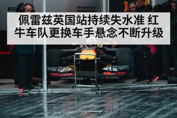 Red Bull racing team
